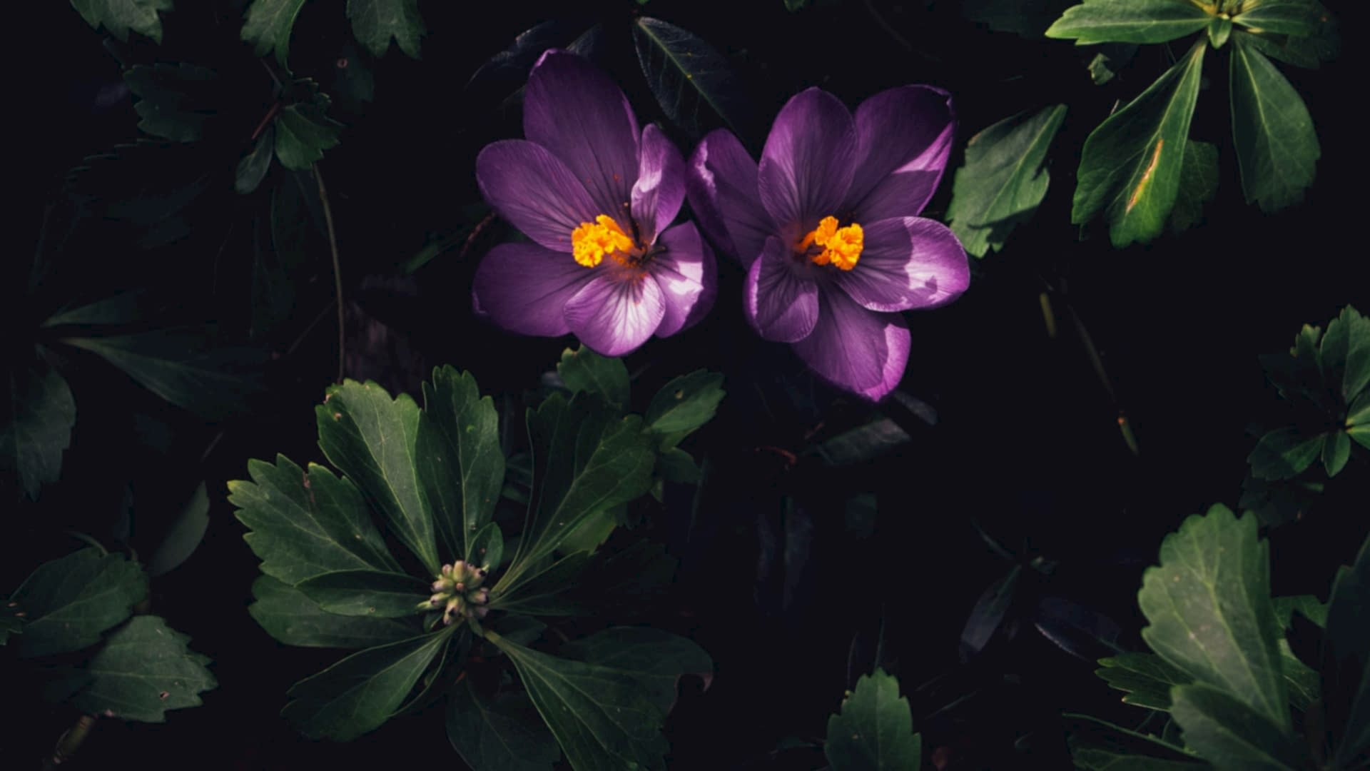 attachment 11 - Blog