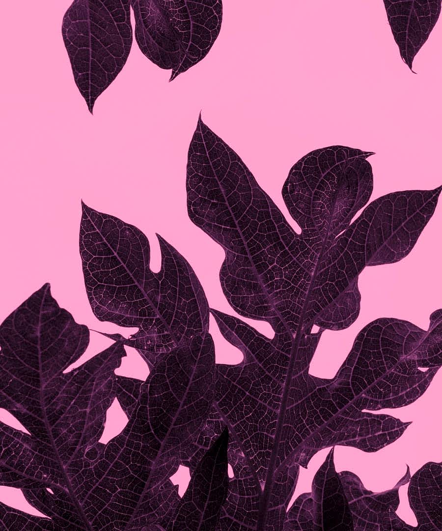 Anasayfa attatchment 15 - Anasayfa